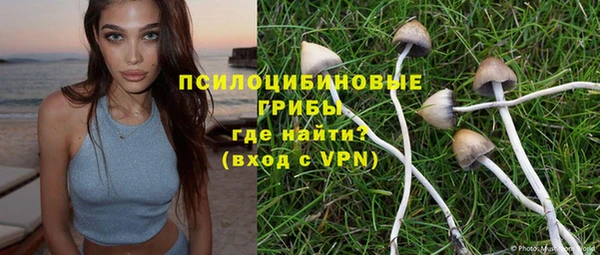 дживик Кинешма