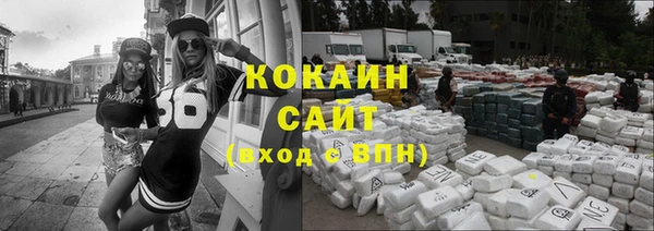 дживик Кинешма
