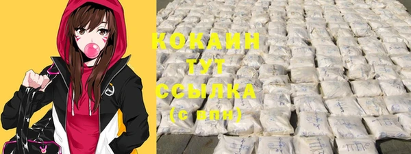 дживик Кинешма